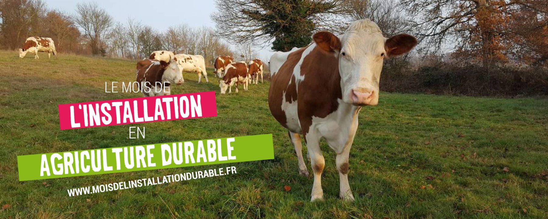 Un mois pour découvrir l'installation en agriculture durable !  Eco